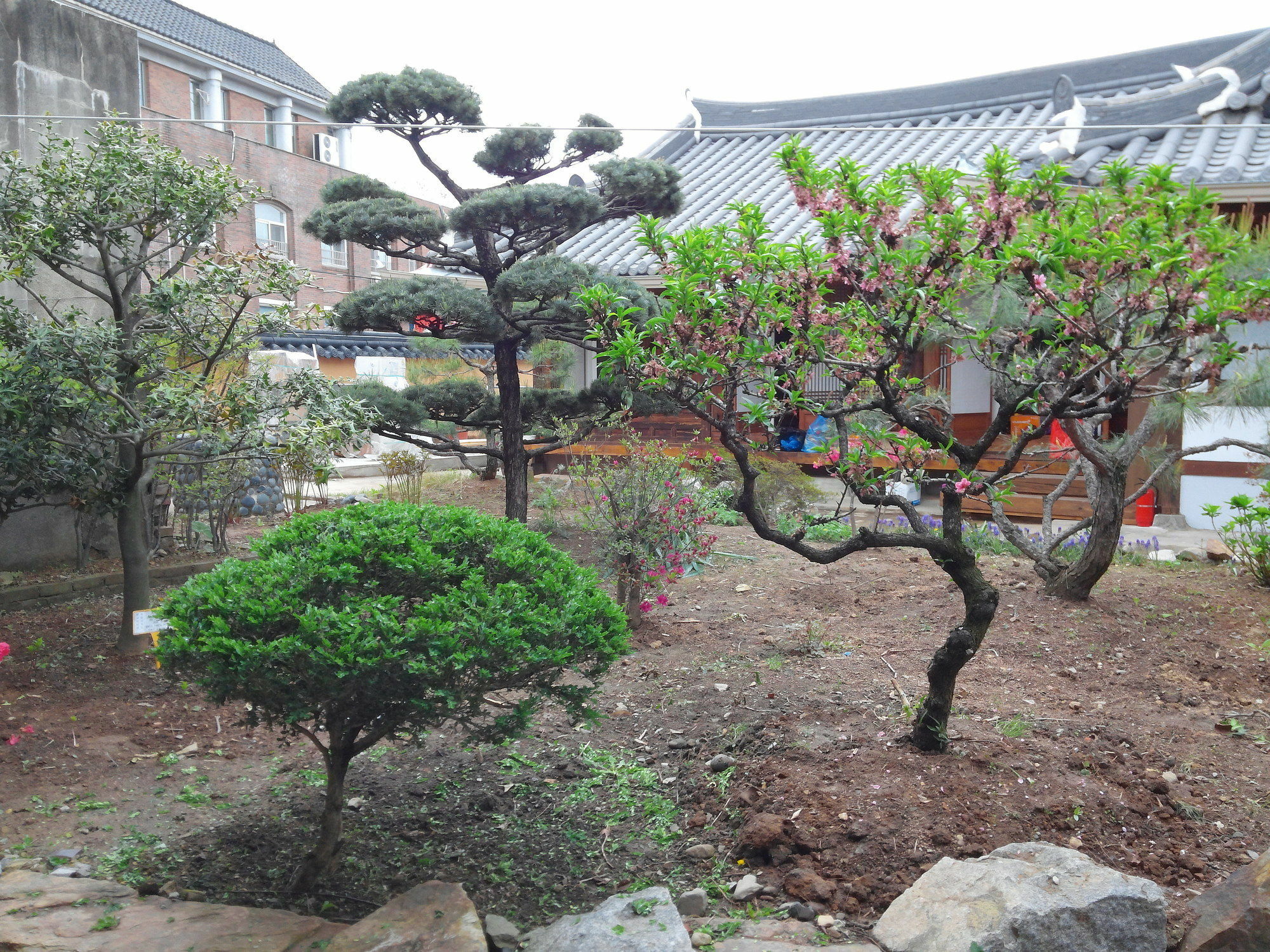Sodamwon Jeonju Ngoại thất bức ảnh