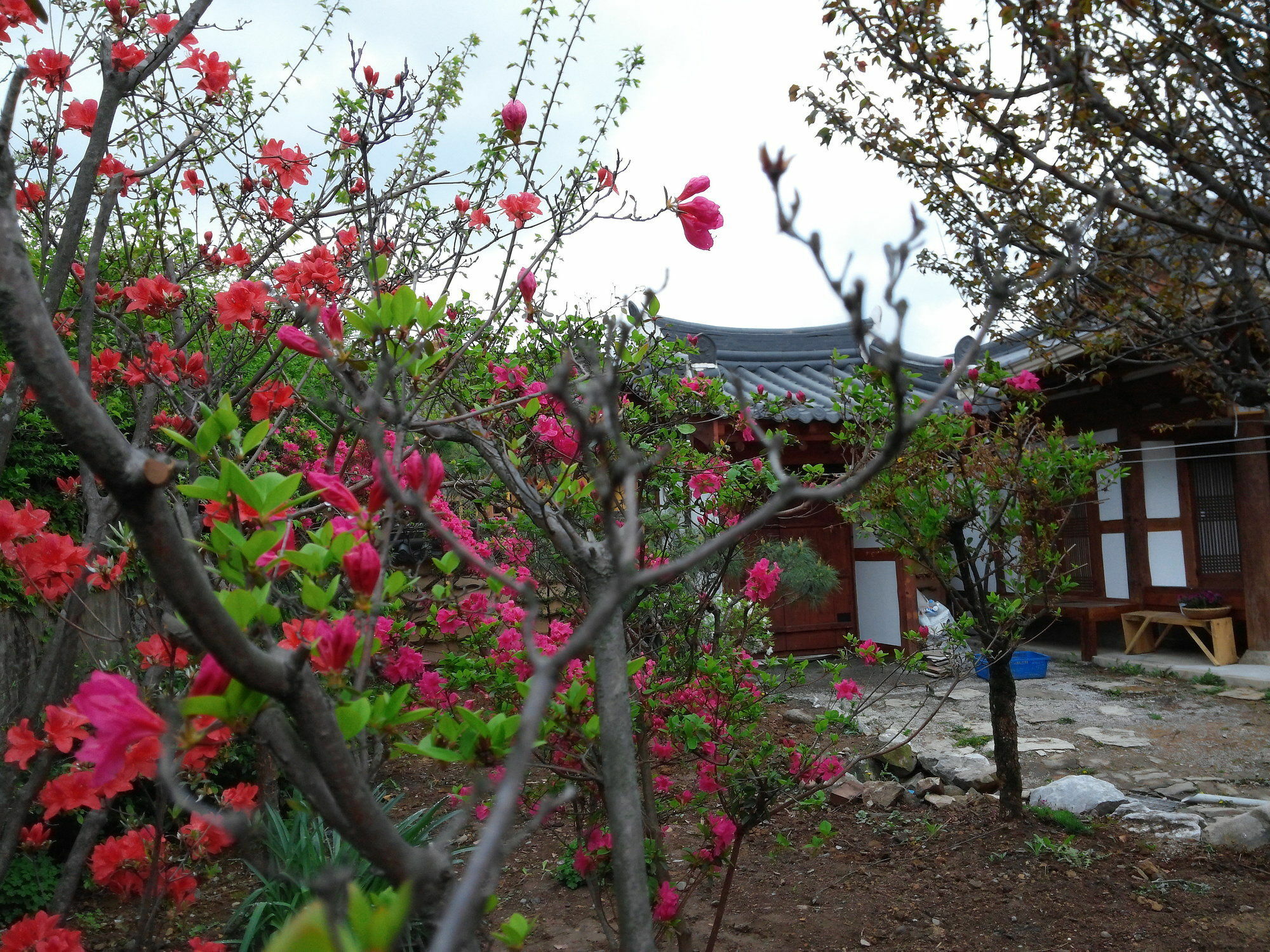Sodamwon Jeonju Ngoại thất bức ảnh
