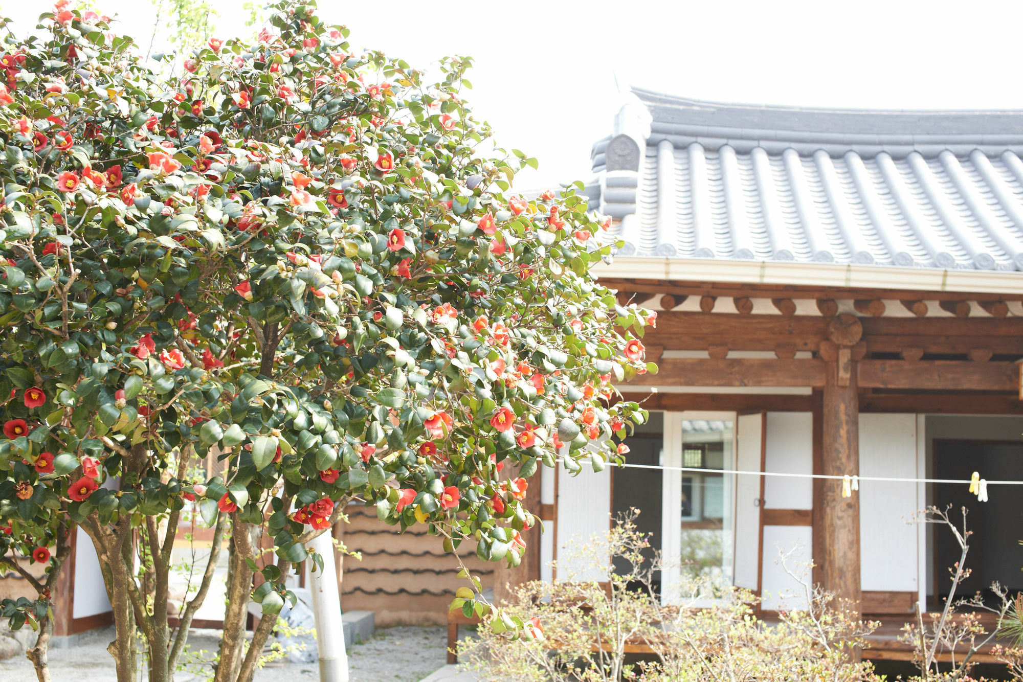 Sodamwon Jeonju Ngoại thất bức ảnh