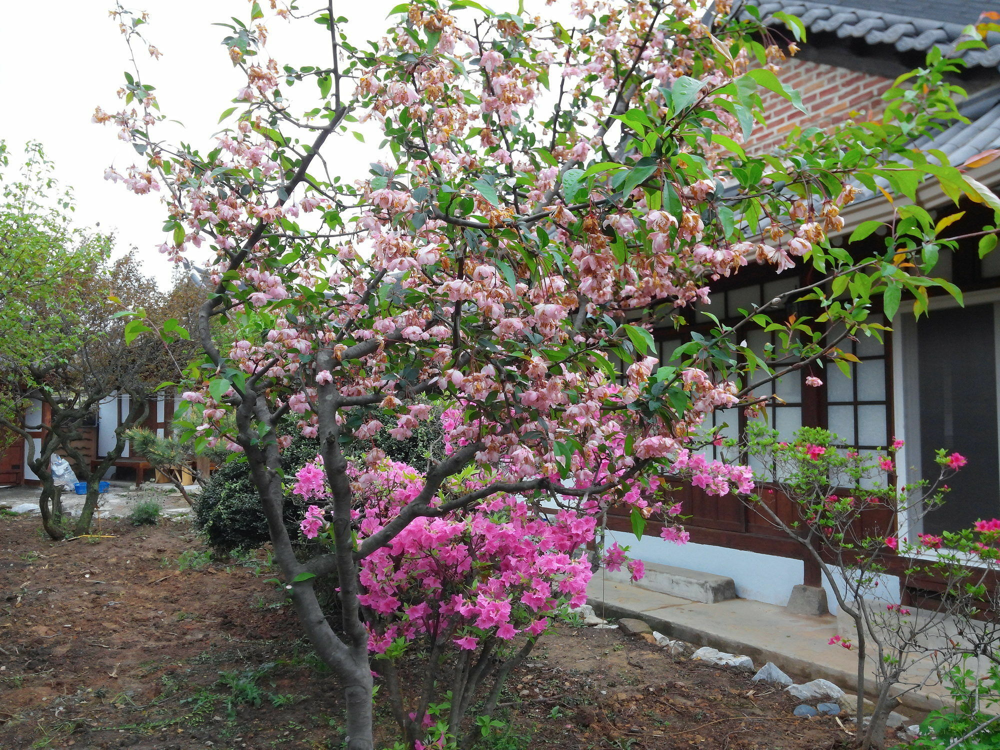 Sodamwon Jeonju Ngoại thất bức ảnh